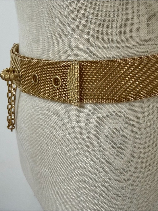 Vintage Sarah Coventry Gold Mesh with Chain Waist Belt Designer Style main image 13